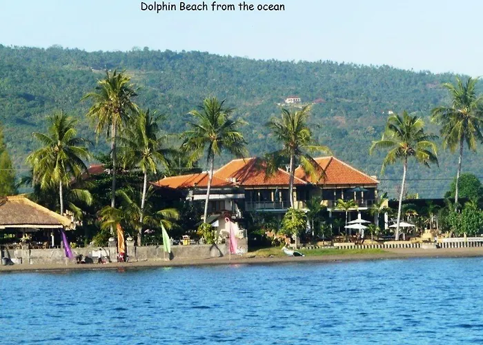 Dolphin Bali 3* Lovina