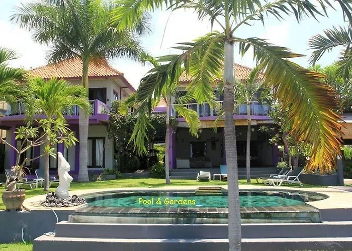 Dolphin Bali 3*