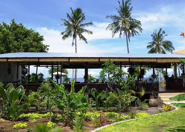 Dolphin Bali 3* Lovina