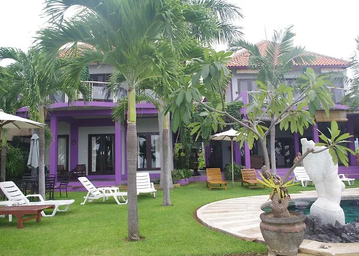Dolphin Bali 3*